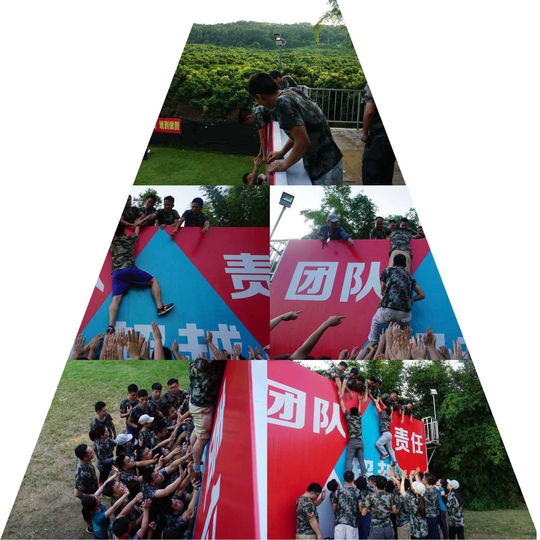探索&體驗(yàn)：國(guó)賽生物 團(tuán)隊(duì)之美