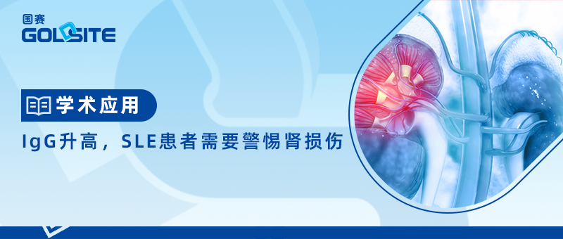 IgG升高，SLE患者需要警惕腎損傷