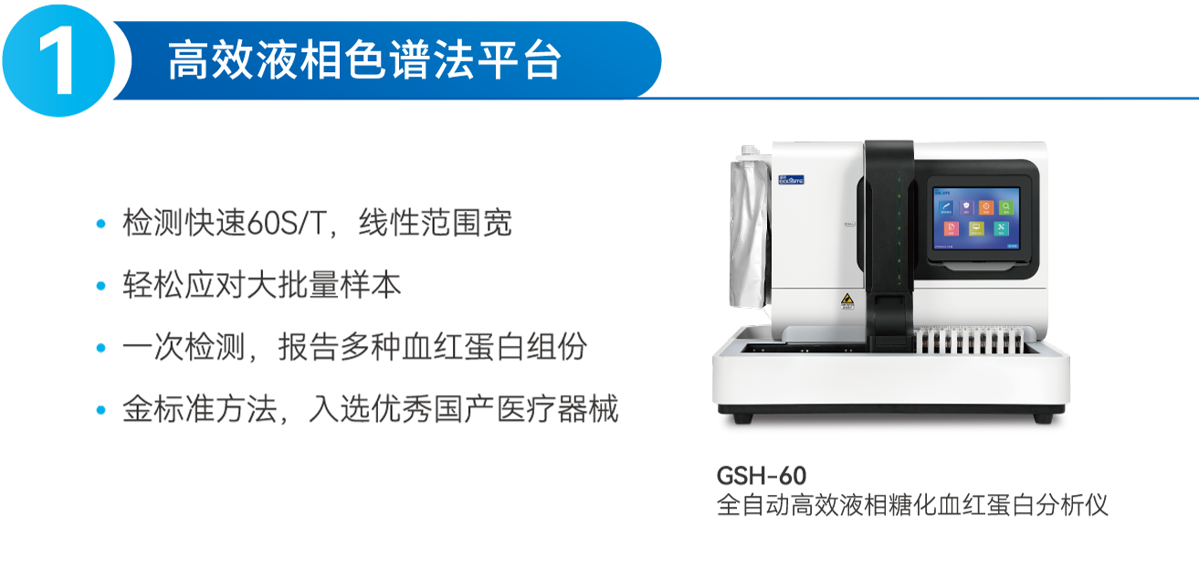 大糖化.png