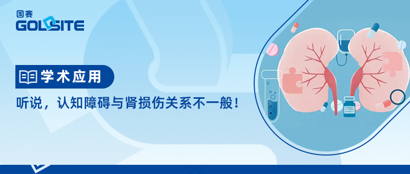 聽說，認(rèn)知障礙與腎損傷關(guān)系不一般！