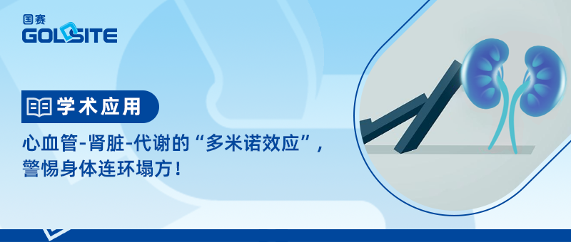 心血管-腎臟-代謝的“多米諾效應(yīng)”，警惕身體連環(huán)塌方！